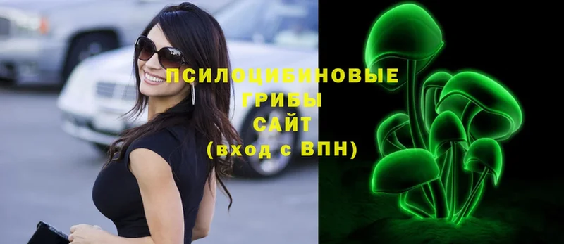 продажа наркотиков  omg ТОР  Галлюциногенные грибы Psilocybe  Буй 